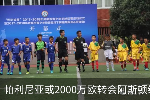 帕利尼亚或2000万欧转会阿斯顿维拉，曾租借热刺表现亮眼成补强首选
