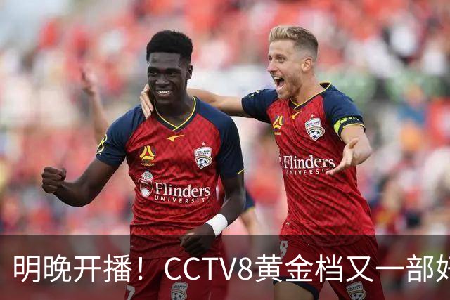 明晚开播！CCTV8黄金档又一部好剧来袭！全部实力派演员领衔